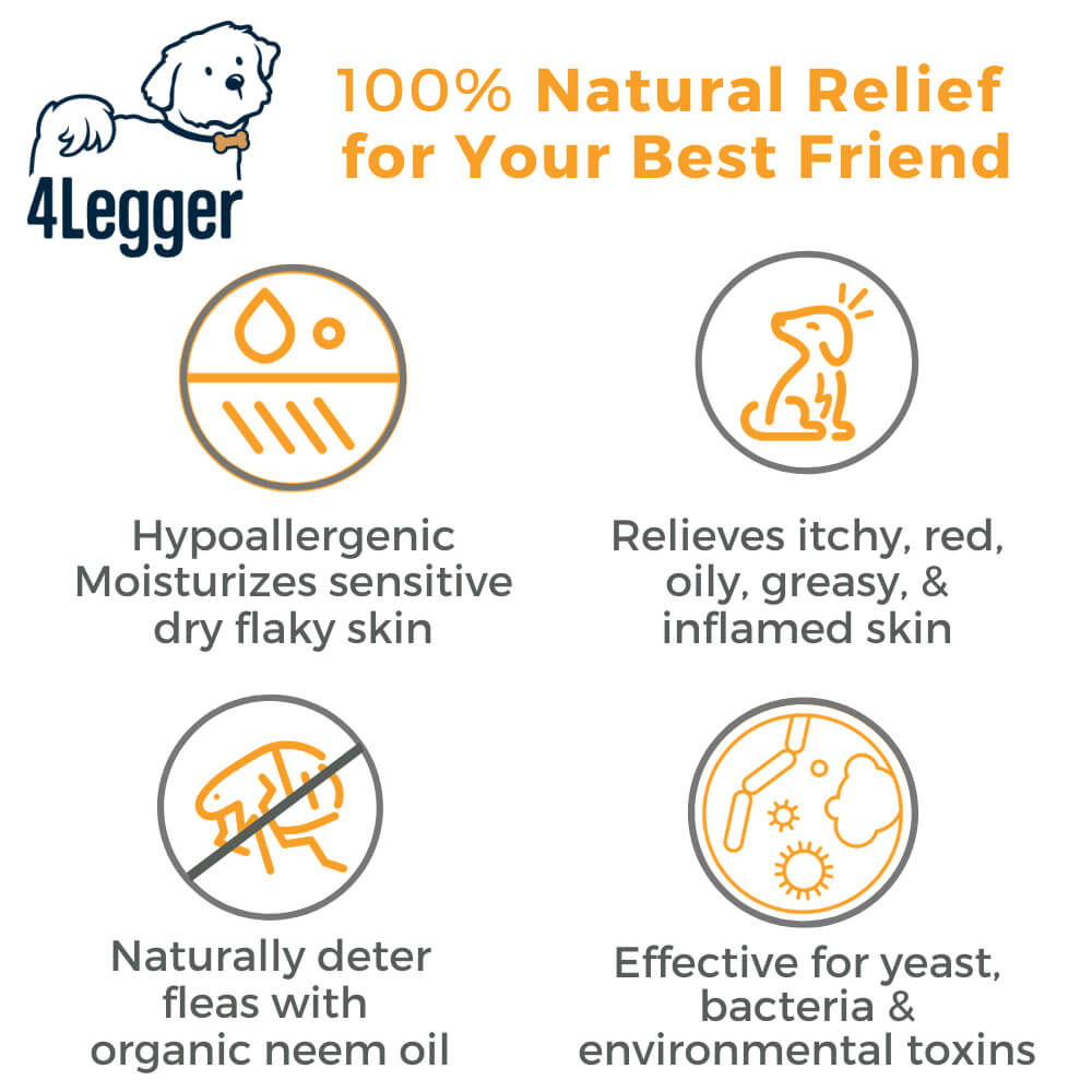 4-Legger USDA Certified Organic Revitalising Shampoo | Orange Neem - Vanillapup Online Pet Store