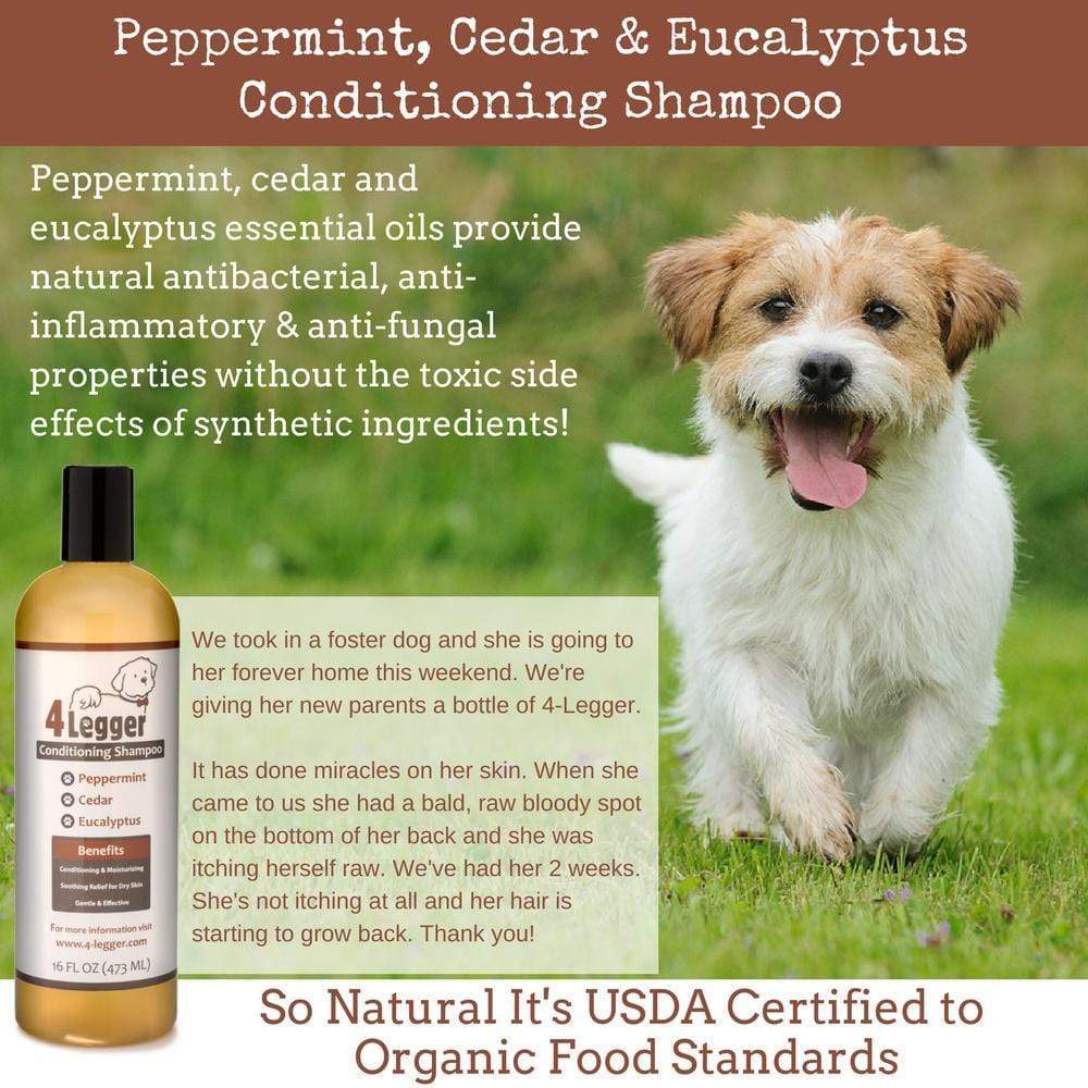 4-Legger Cedar, Peppermint & Eucalyptus Conditioning Dog Shampoo 16oz