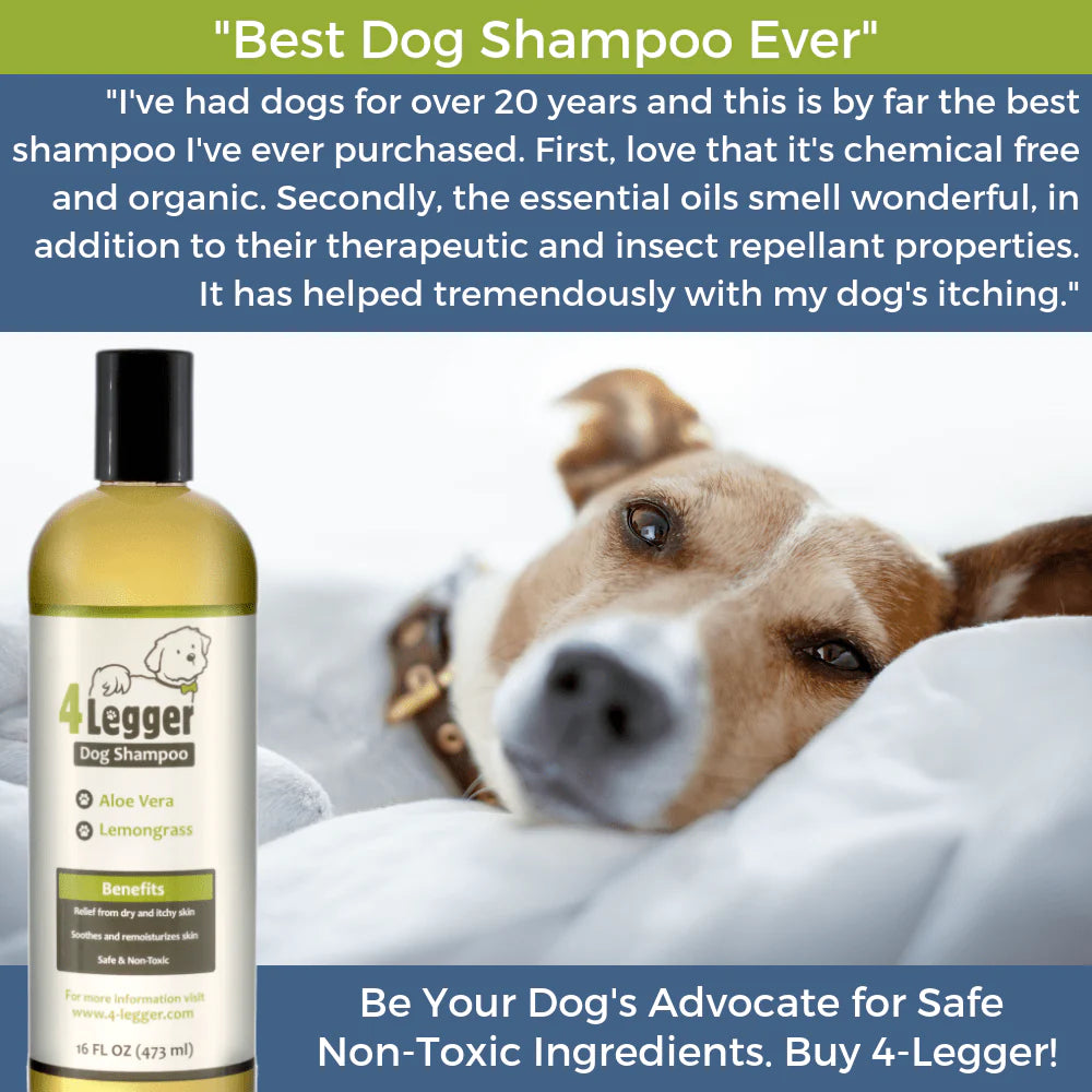 Best hypoallergenic dog hot sale shampoo