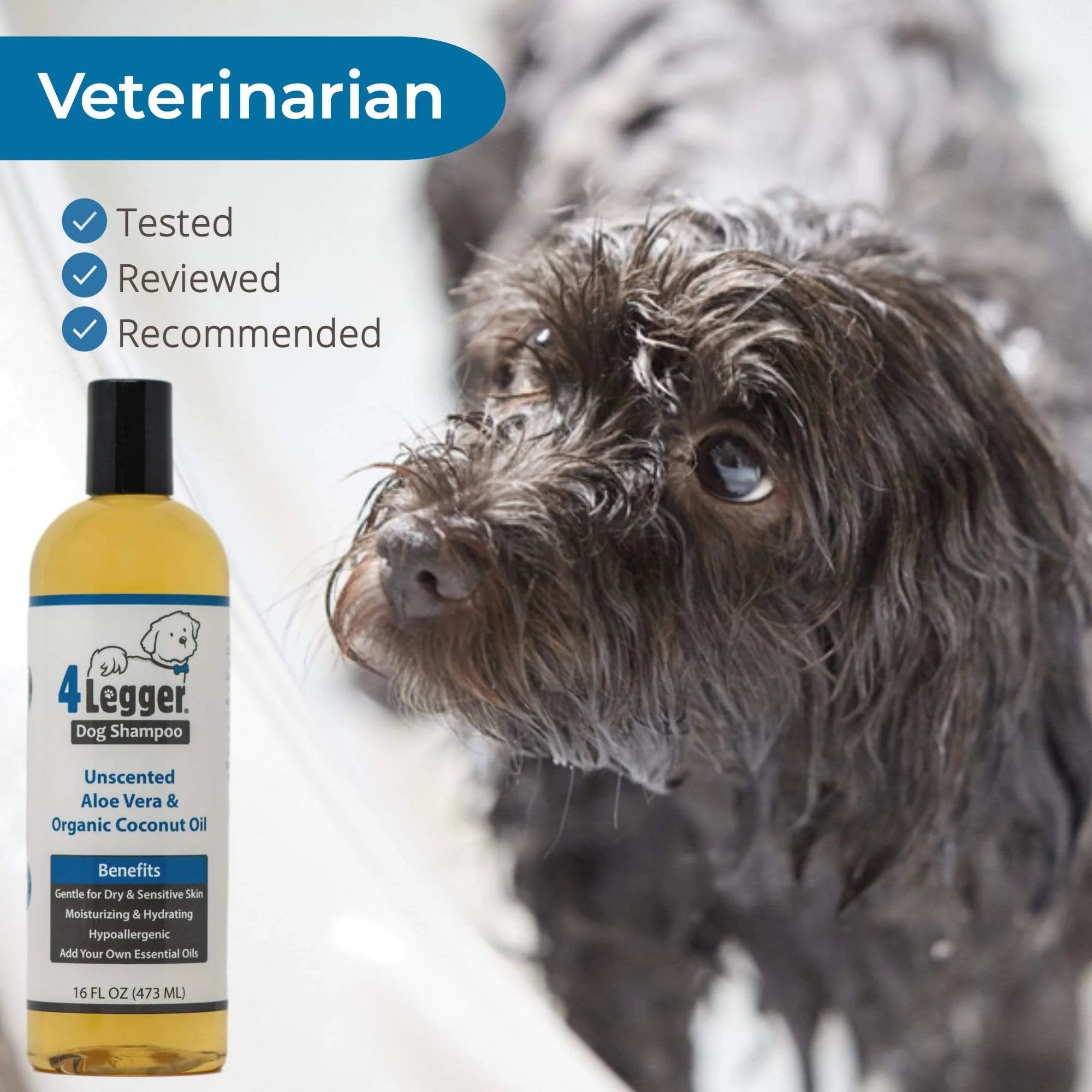 Unscented dog deals shampoo