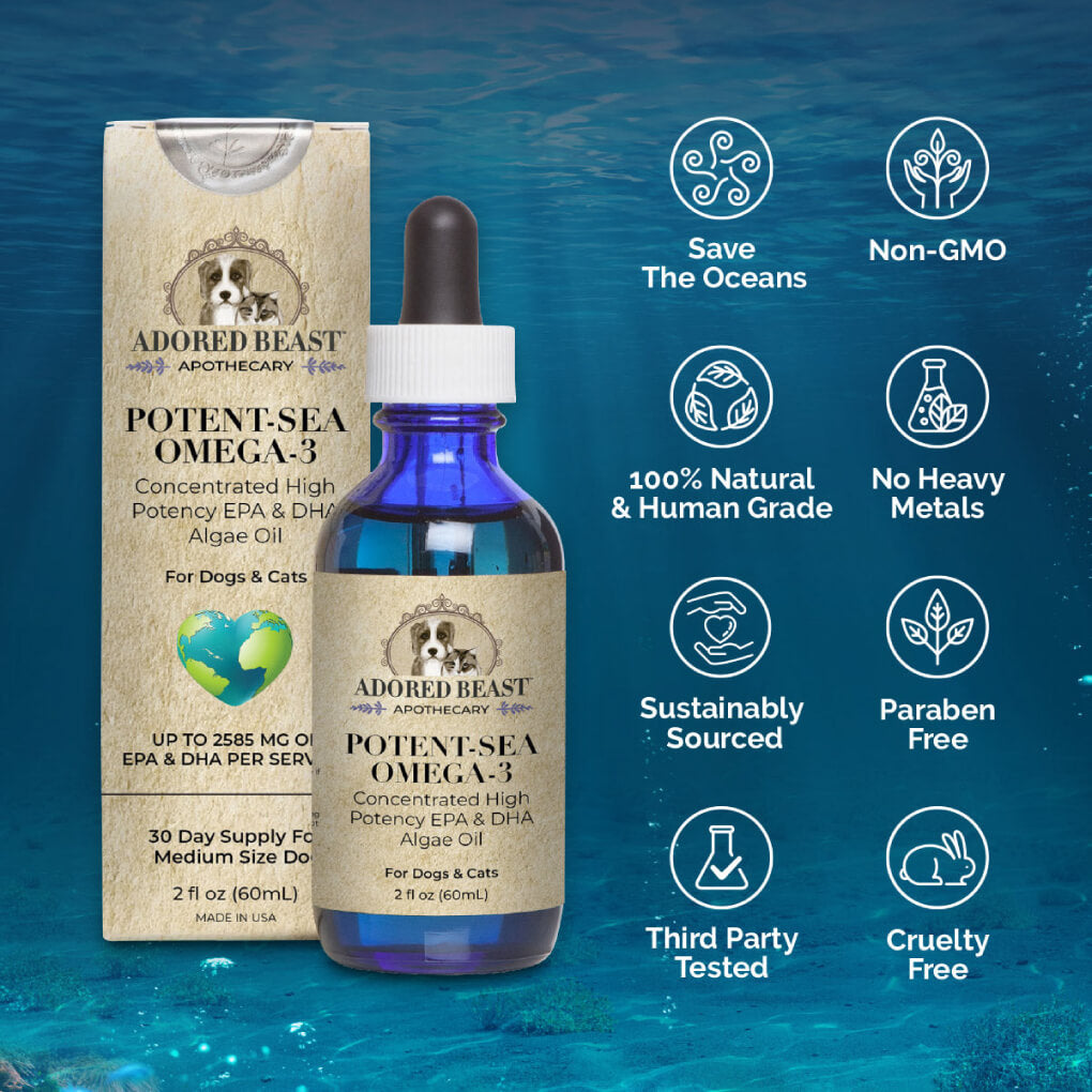 Adored Beast Potent-Sea Omega-3 Algae Oil - Vanillapup Online Pet Store