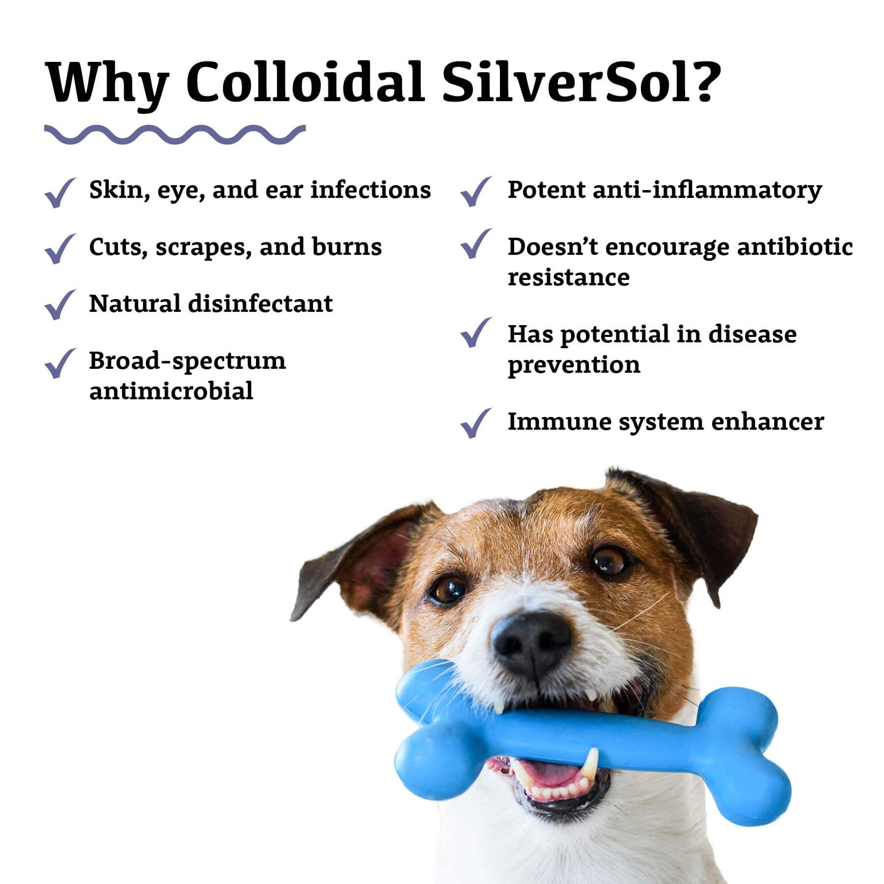 Adored Beast Colloidal Silversol | MRET Activated