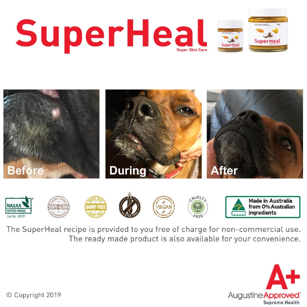 Augustine Approved SuperHeal - Vanillapup Online Pet Store