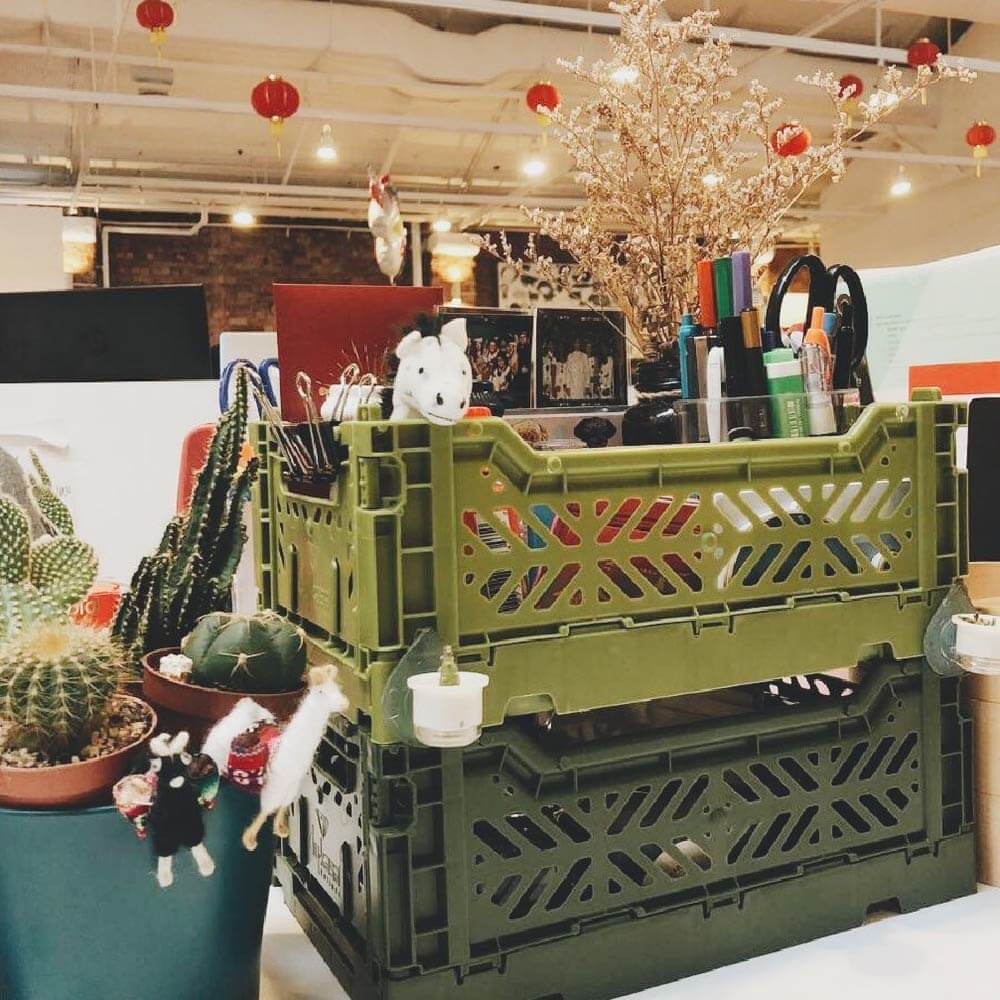 Aykasa Minibox Crate | Khaki Green - Vanillapup Online Pet Store