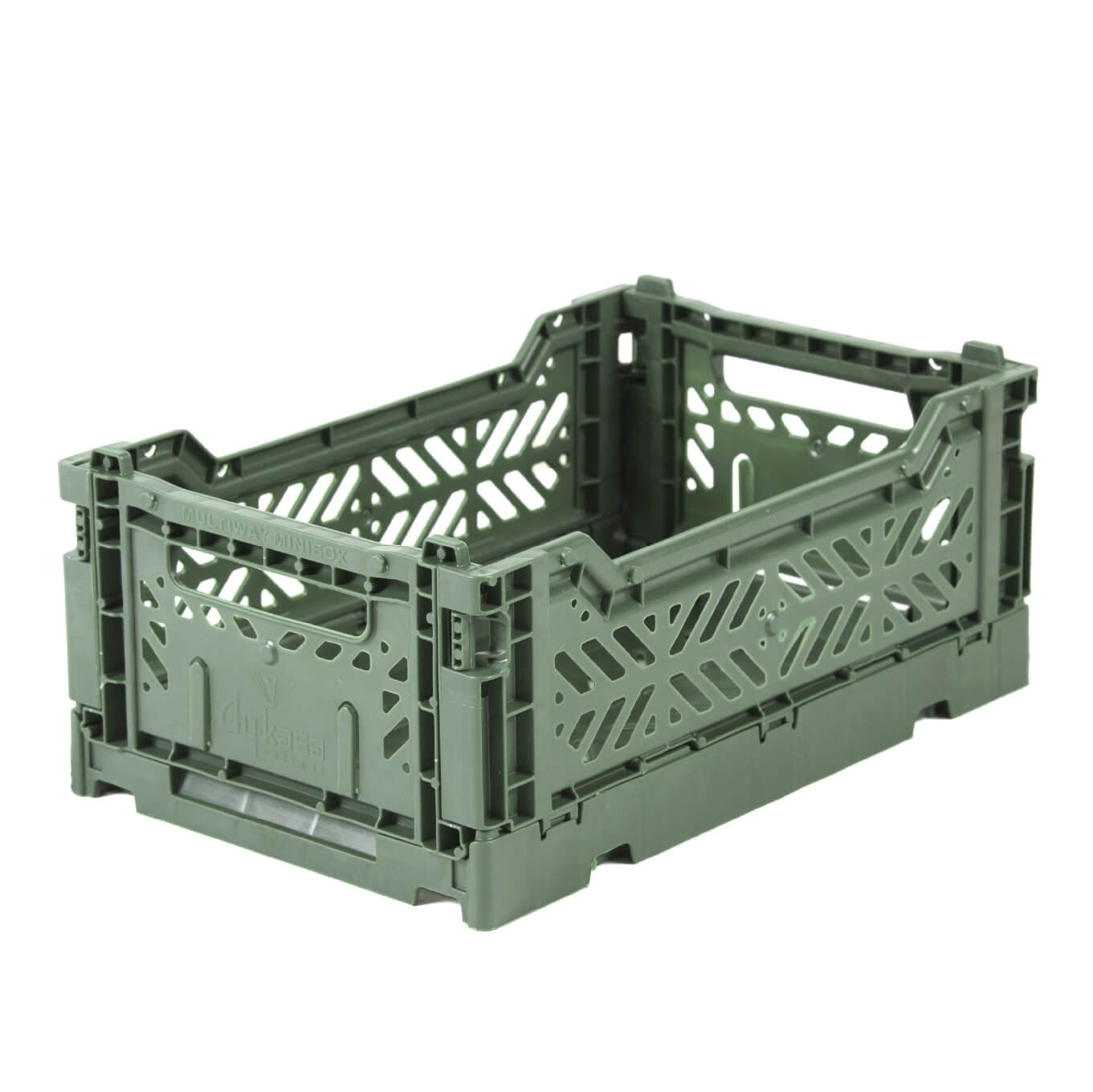 Aykasa Minibox Crate | Sage - Vanillapup Online Pet Store