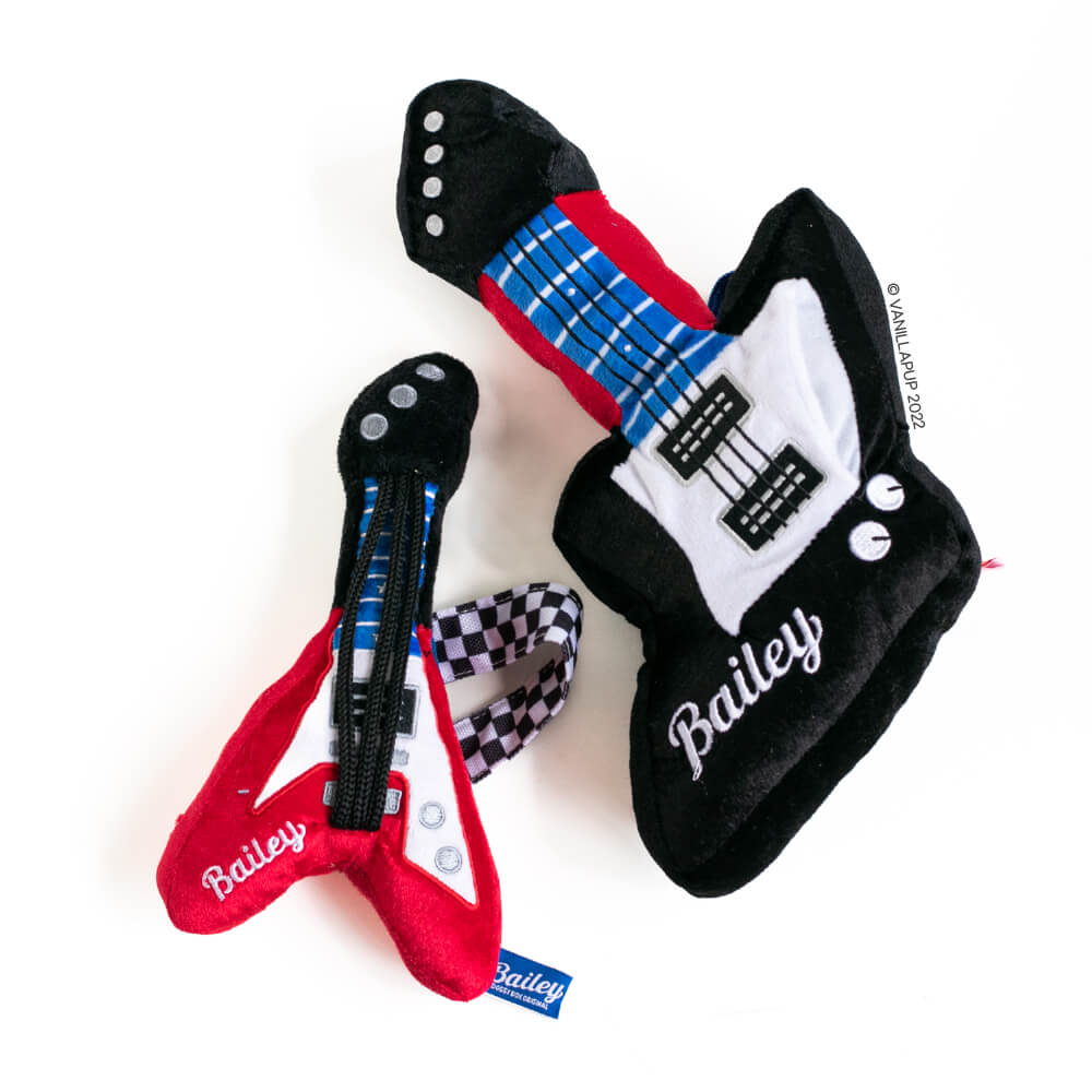 Bailey Guitar and Leather Jacket Toy Set