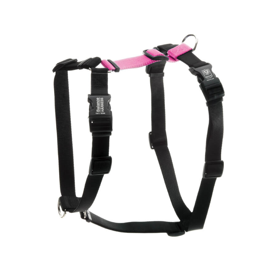 Blue-9 Balance Harness® with Buckle-Neck - Vanillapup Online Pet Store