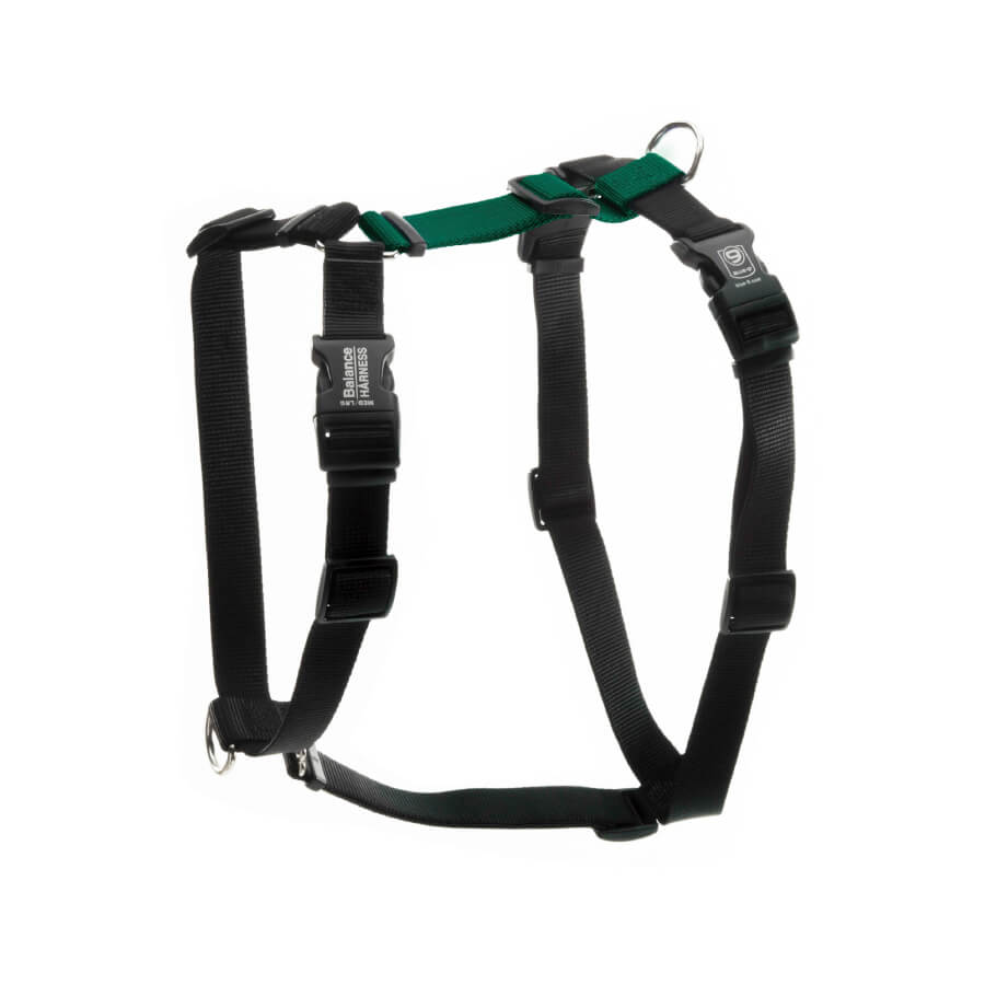 Blue-9 Balance Harness® with Buckle-Neck - Vanillapup Online Pet Store