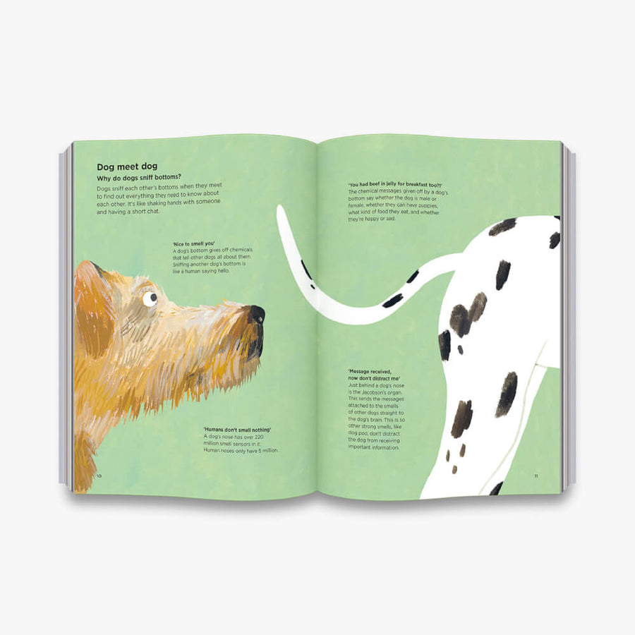 Why Do Dogs Sniff Bottoms? Illustrated by Lily SnowdenFine