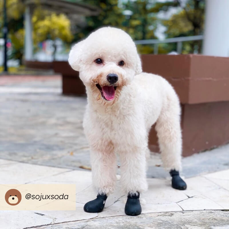 Wagwear WagWellies® Dog Boots