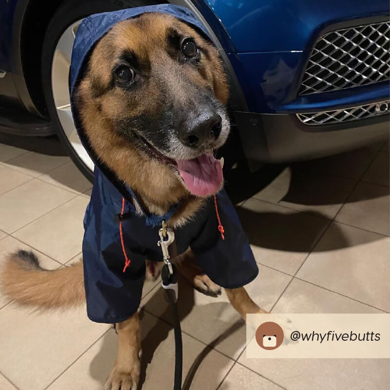 Wagwear Nylon Raincoat - Vanillapup Online Pet Store