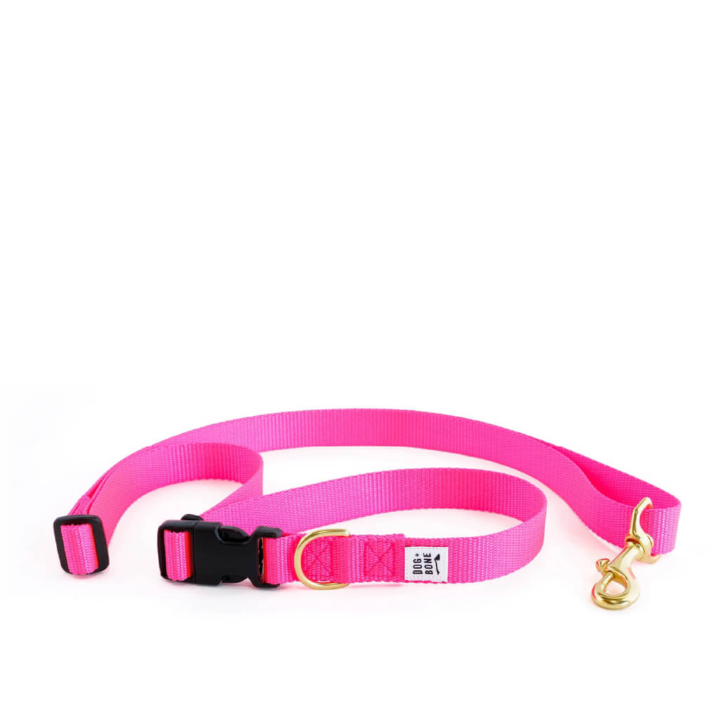 Collar and 2024 leash pet store