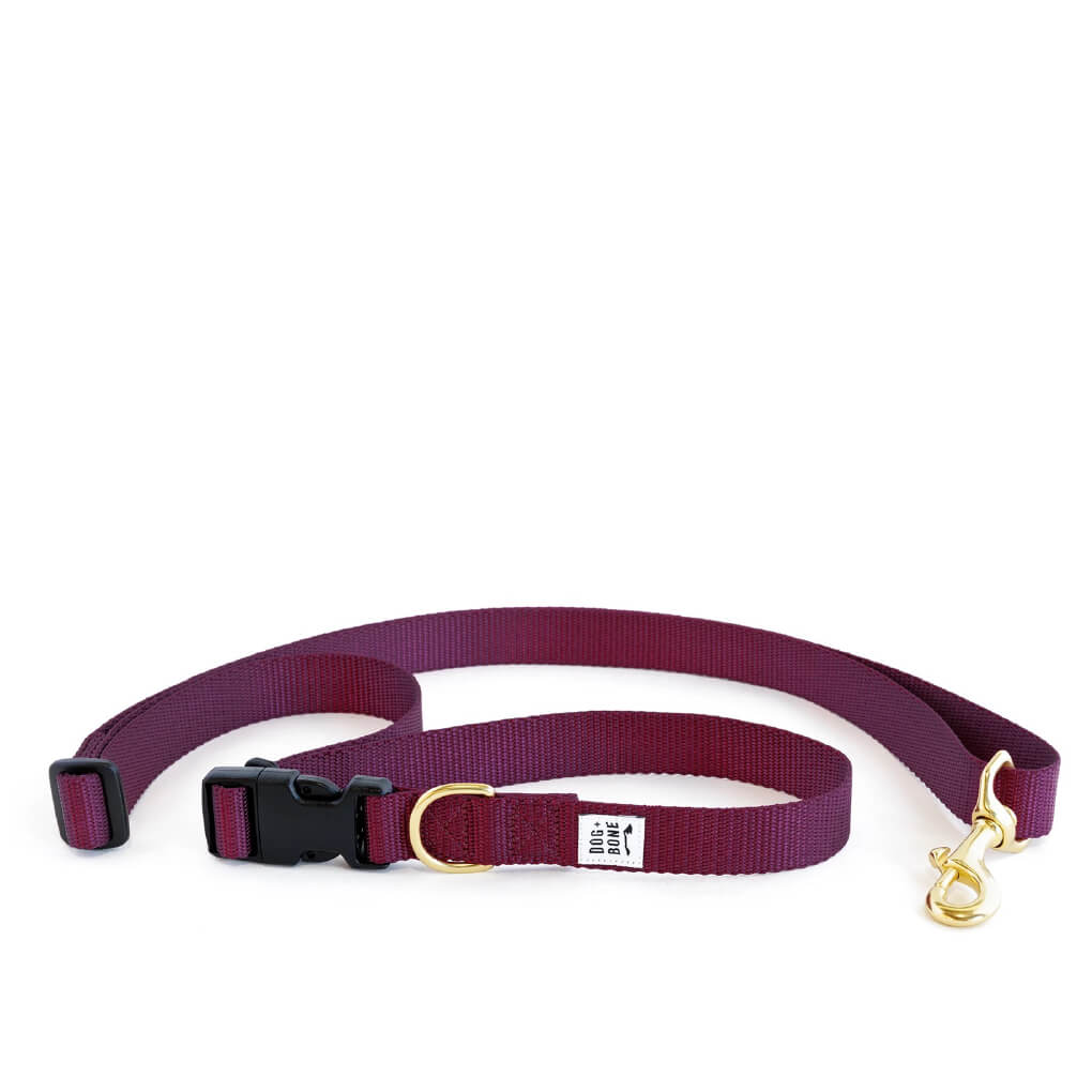 Dog + Bone Multi-way Adjustable Leash | Purple - Vanillapup Online Pet Store