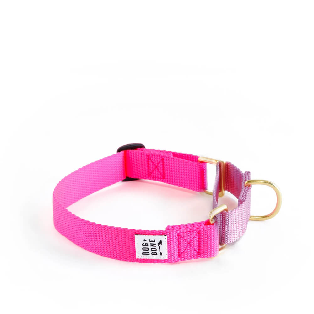 Dog + Bone Martingale Collar | Hot Pink & Orchid