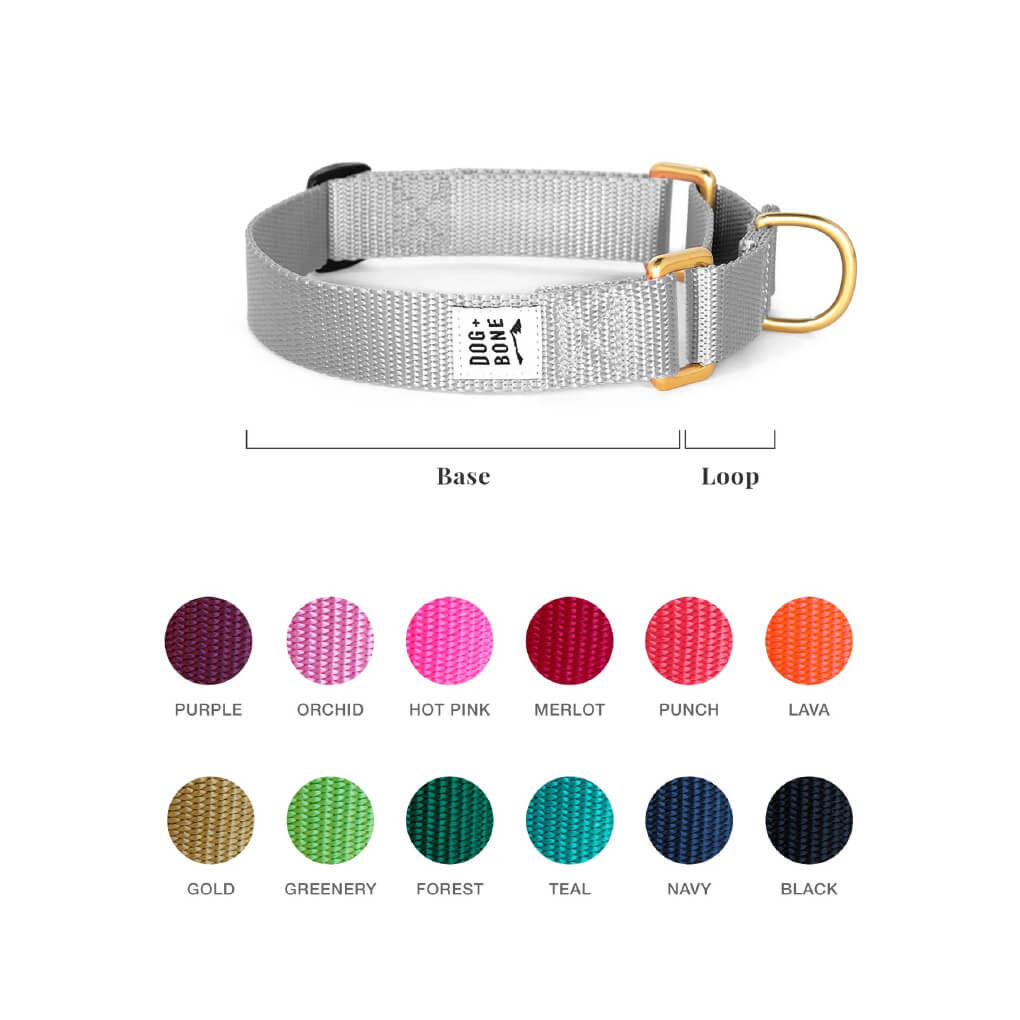 Dog + Bone Martingale Collar | Custom Colour - Vanillapup Online Pet Store