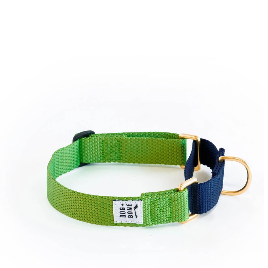 Dog + Bone Martingale Collar | Greenery & Navy - Vanillapup Online Pet Store