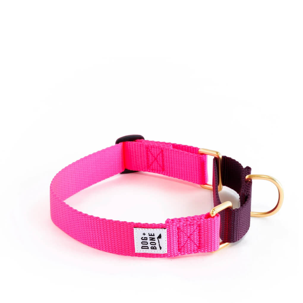 Dog + Bone Martingale Collar | Hot Pink + Purple - Vanillapup Online Pet Store
