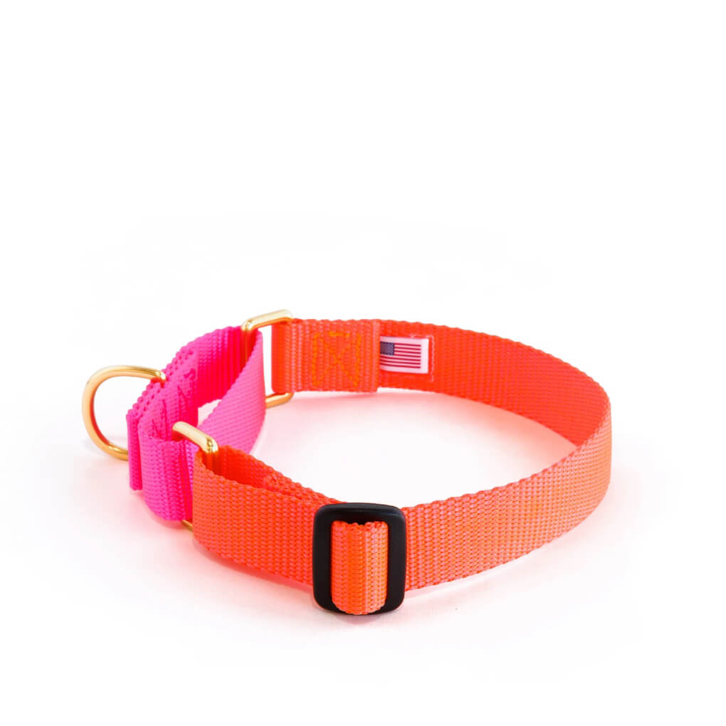 Dog + Bone Martingale Collar | Lava & Hot Pink - Vanillapup Online Pet Store