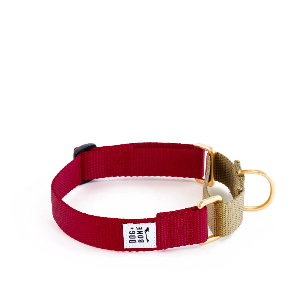 Dog + Bone Martingale Collar | Merlot & Gold - Vanillapup Online Pet Store