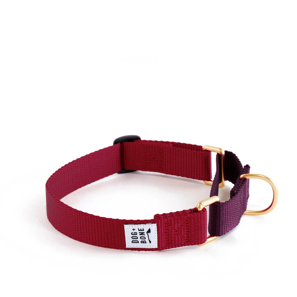 Dog + Bone Martingale Collar | Merlot & Purple - Vanillapup Online Pet Store