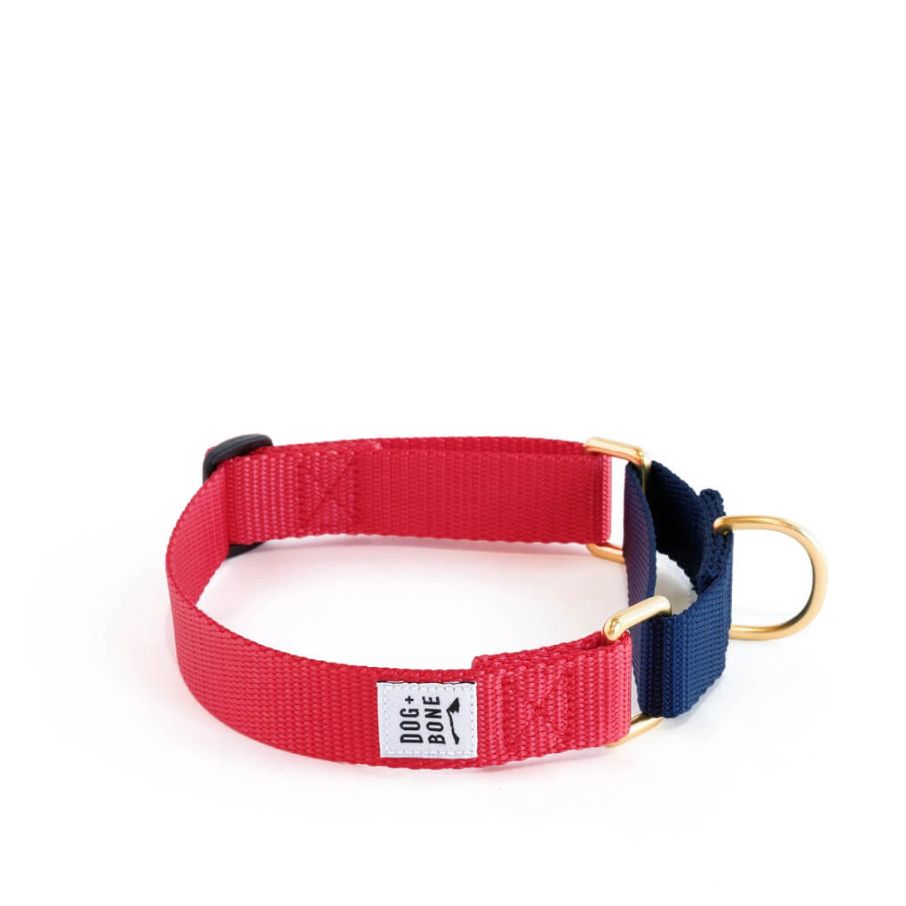 Dog + Bone Martingale Collar | Punch & Navy - Vanillapup Online Pet Store