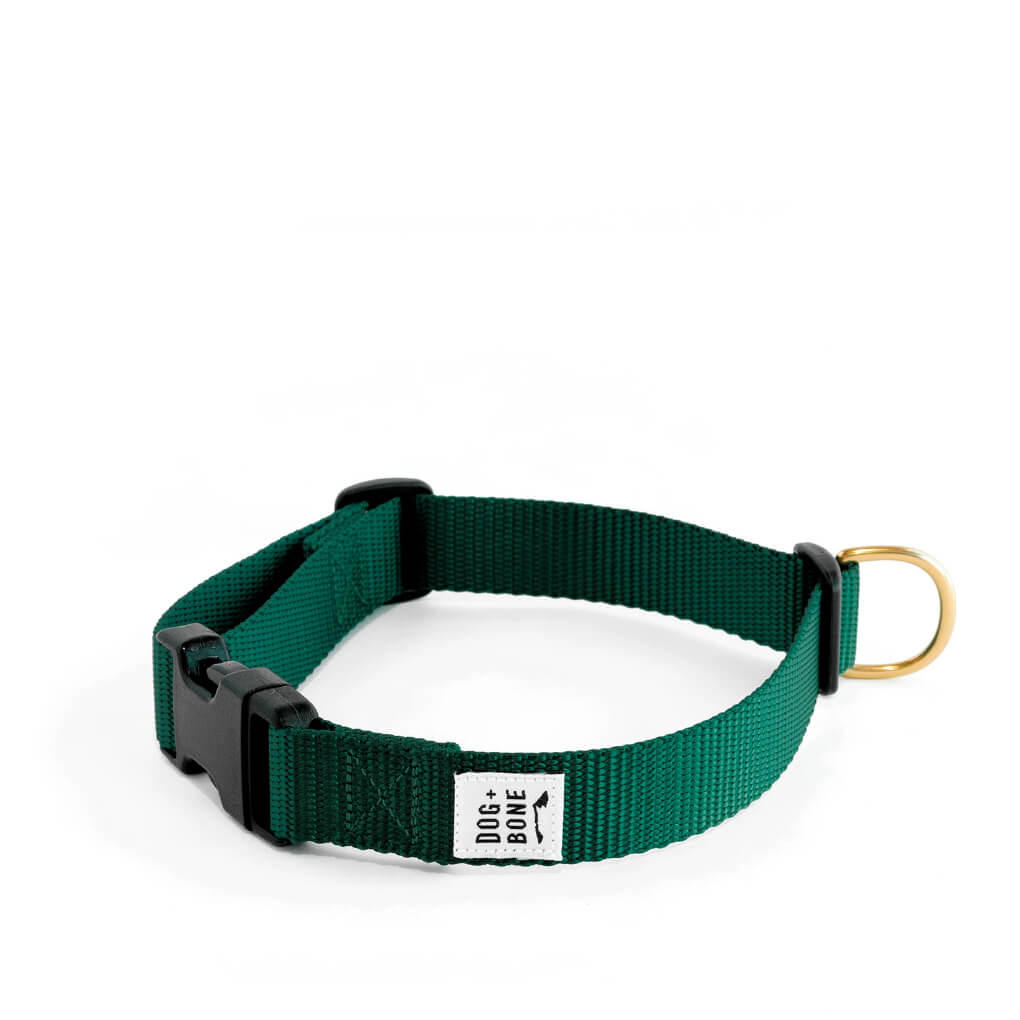 Dog + Bone Snap Collar | Forest - Vanillapup Online Pet Store