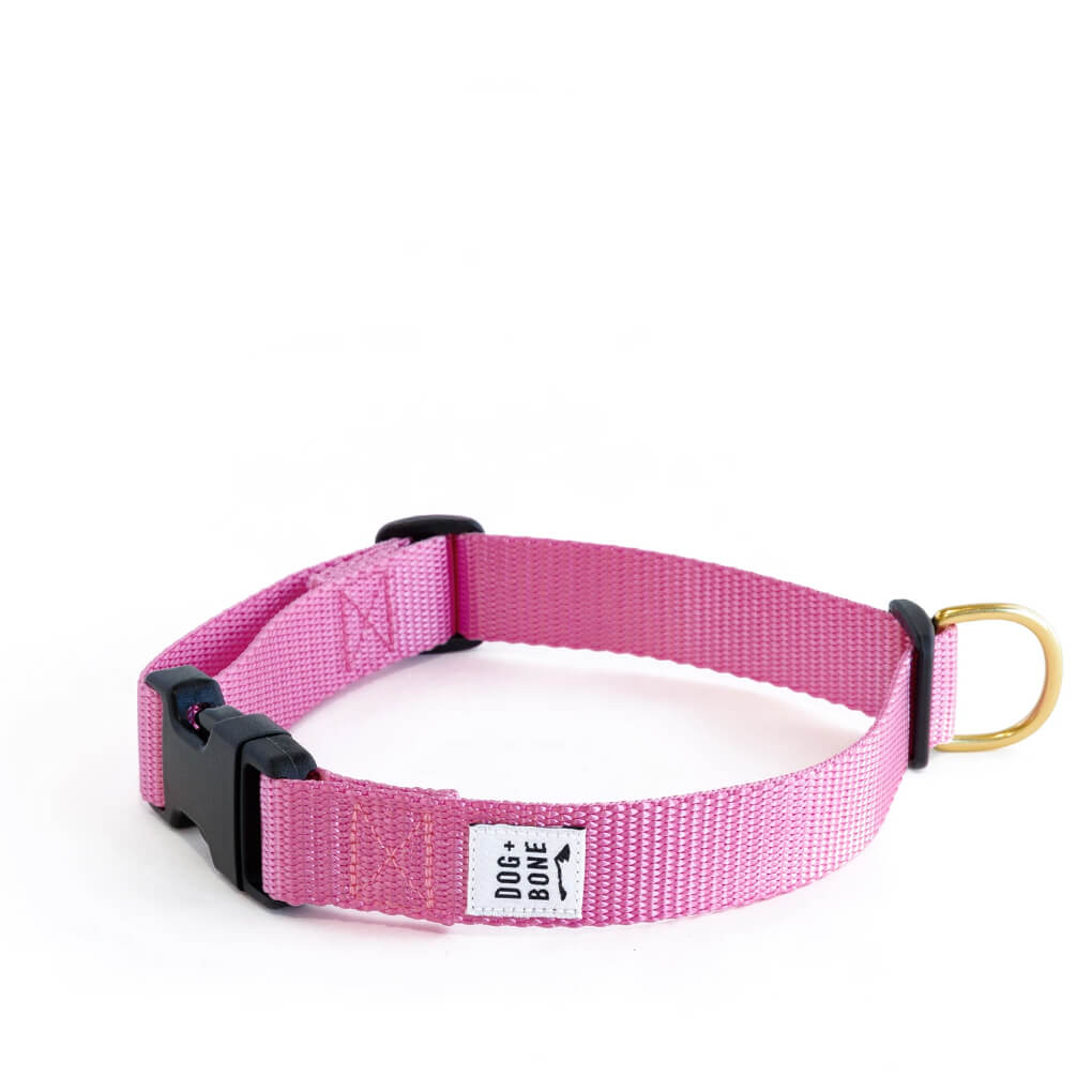 Dog + Bone Snap Collar | Orchid - Vanillapup Online Pet Store