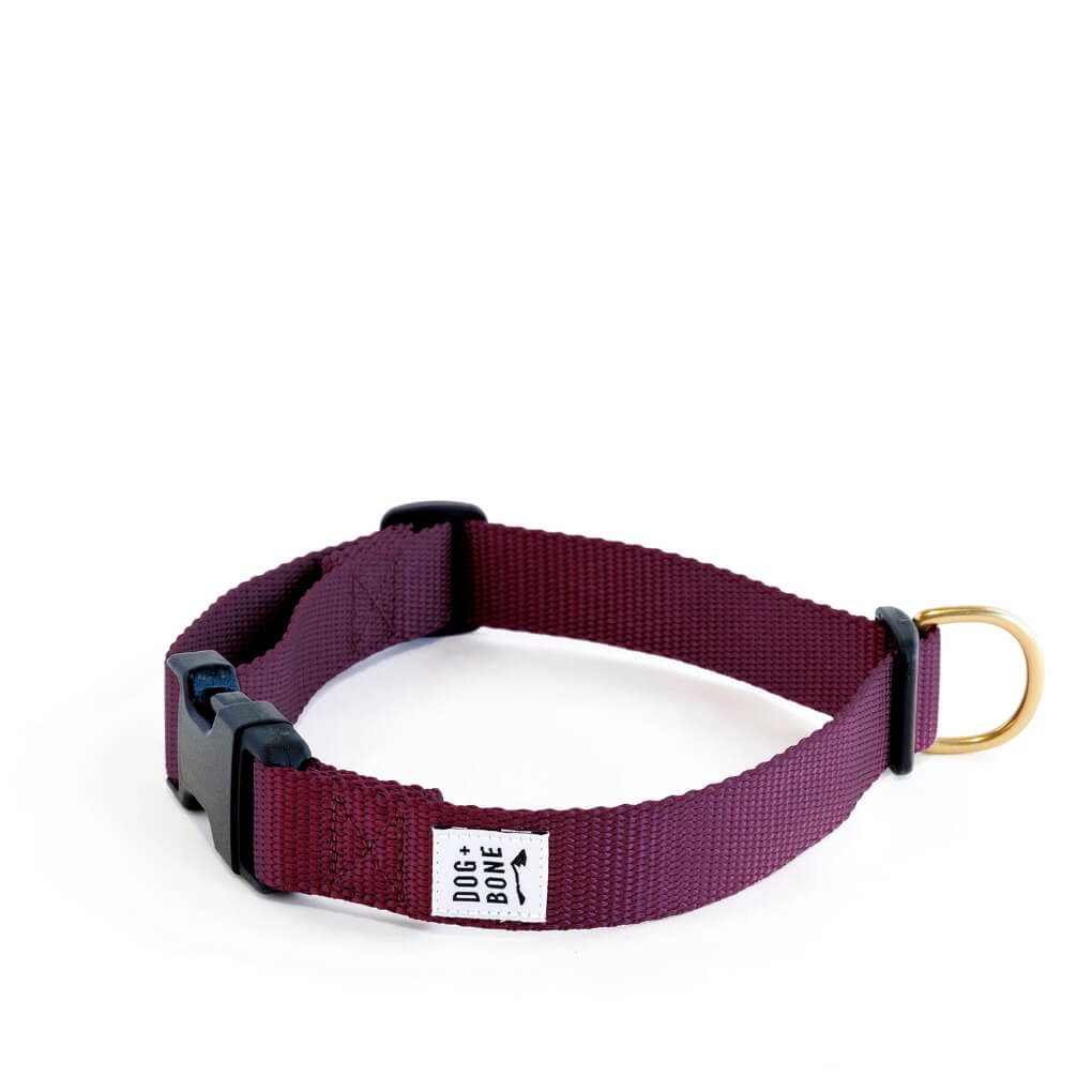 Dog + Bone Snap Collar | Purple - Vanillapup Online Pet Store
