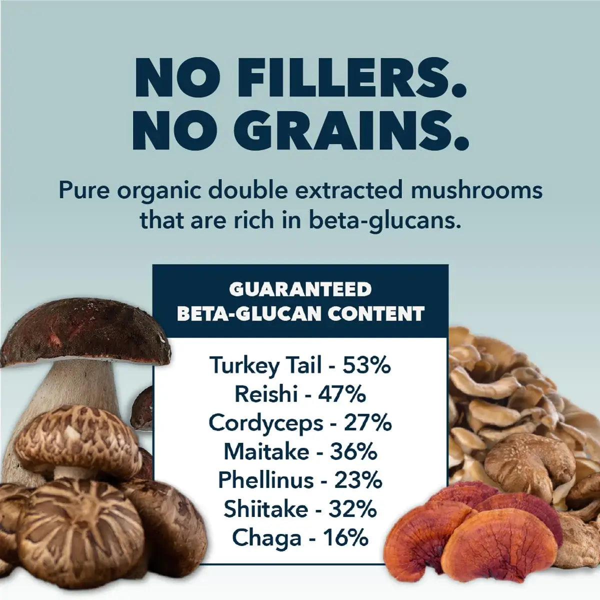 Four Leaf Rover Seven 'Shrooms | Organic Mushroom Mix