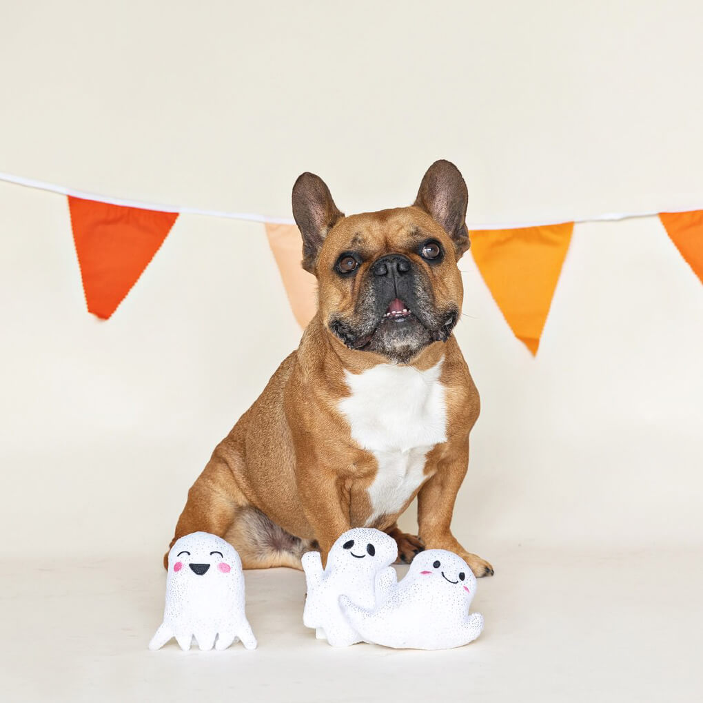 Fringe Studio Mini Ghosts - Vanillapup Online Pet Store