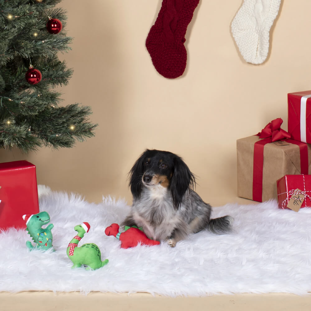 Fringe Studio Mini Christmas Dinos - Vanillapup Online Pet Store