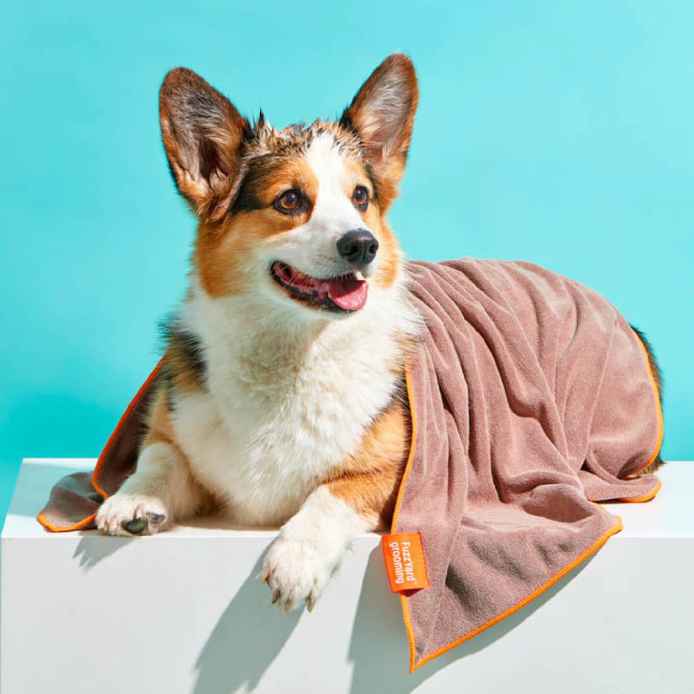 FuzzYard Microfibre Towel Brown With Orange Trim - Vanillapup Online Pet Store