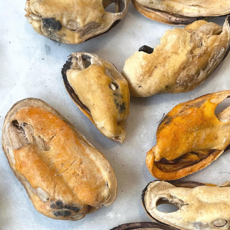 Gourmate Organic Green-Lipped Mussels - Vanillapup Online Pet Store