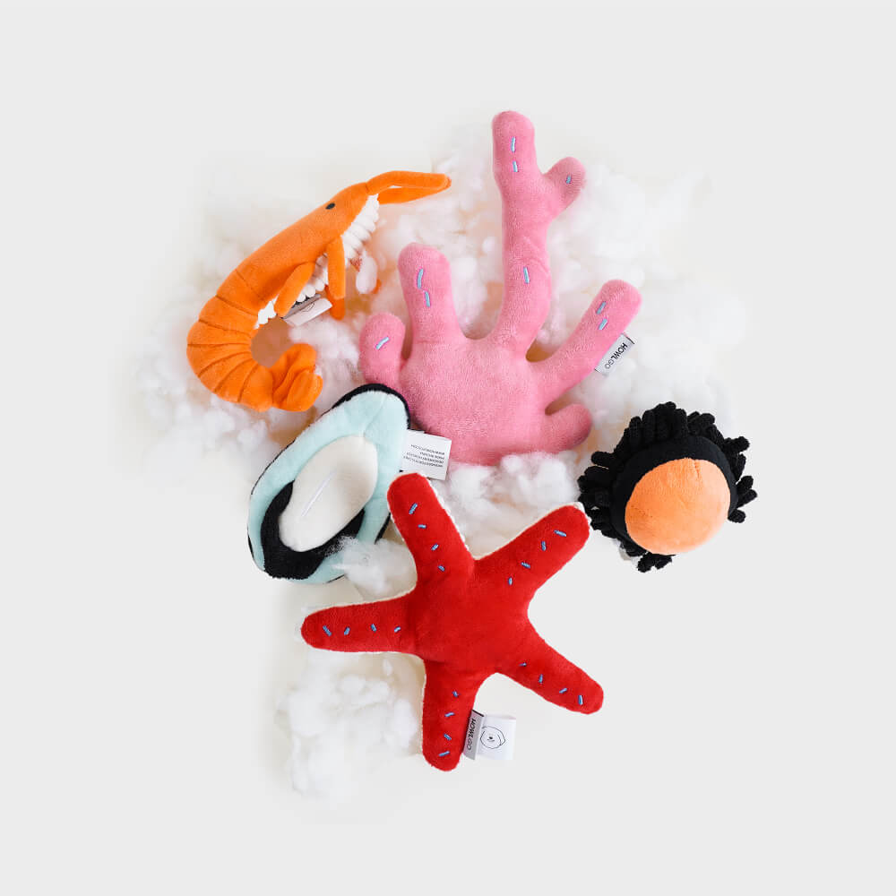 HOWLGO Coral Reef Squeaky Toy