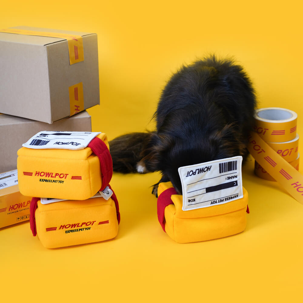 HOWLPOT Express Nose Work Toy