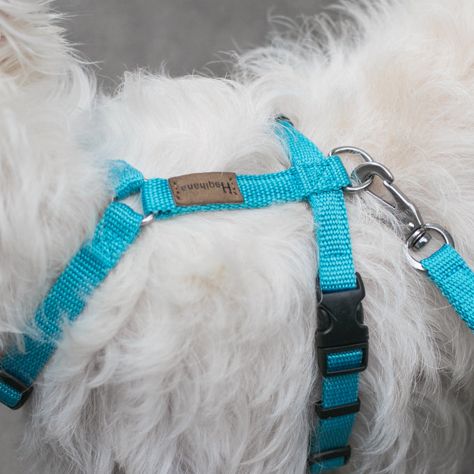 Haqihana Arctic Harness - Vanillapup Online Pet Store