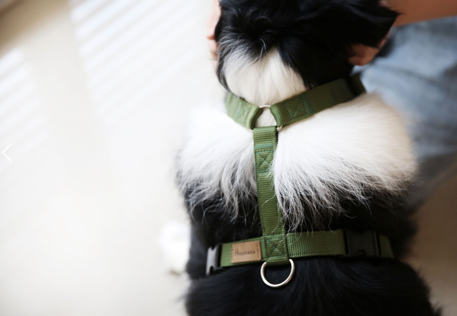 Haqihana Green Harness - Vanillapup Online Pet Store
