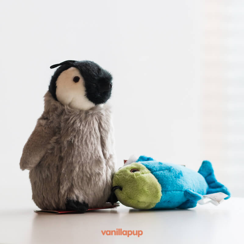 Fluff & Tuff Skipper the Penguin - Vanillapup Online Pet Store