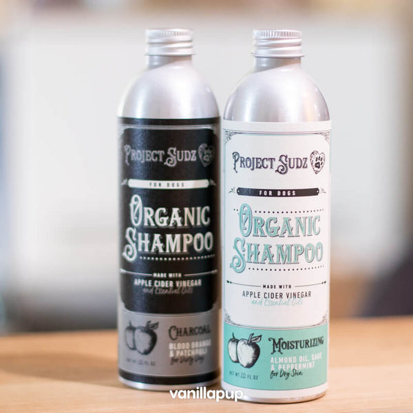 Project Sudz Charcoal Organic Shampoo