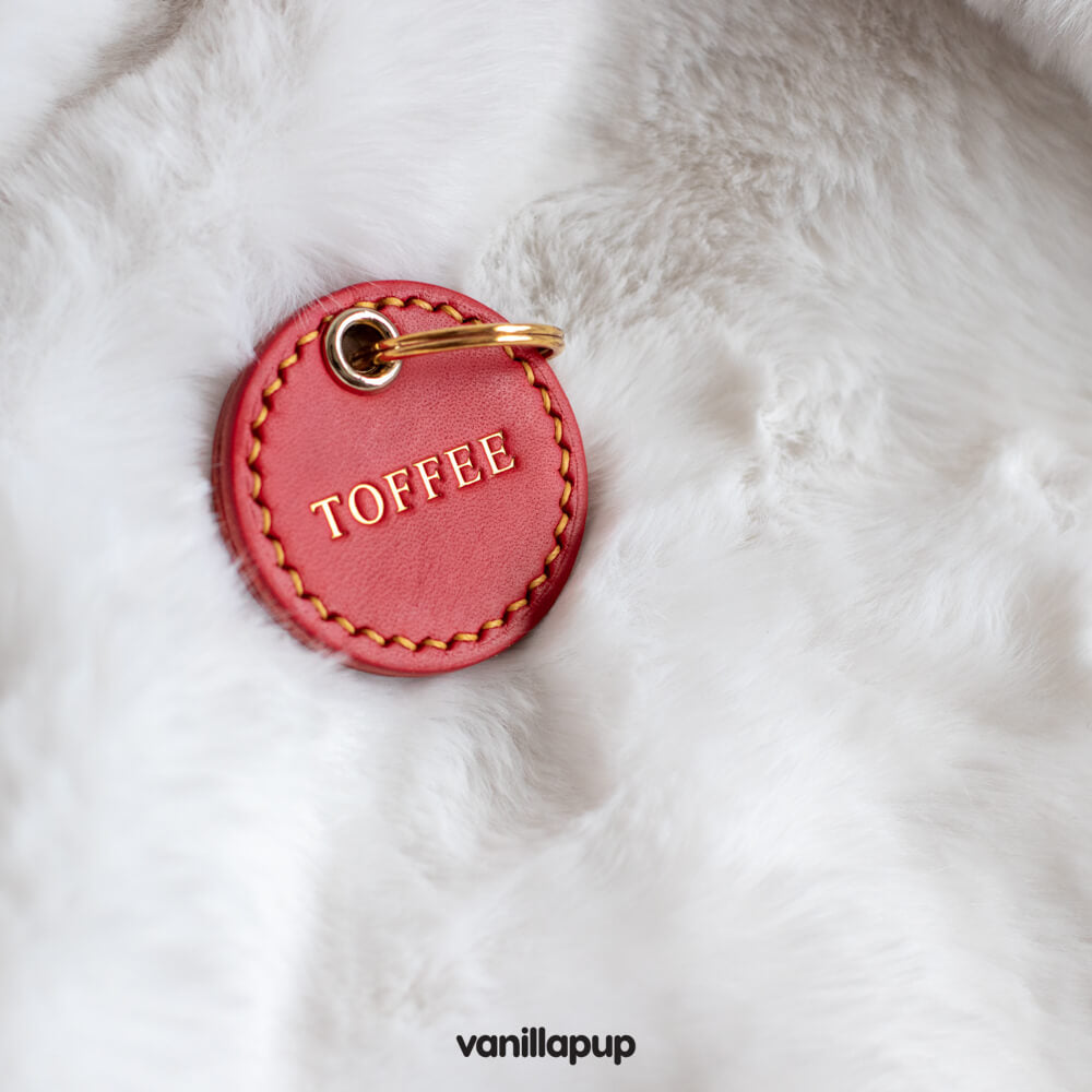 LéPaw Red Leather Pet Tag