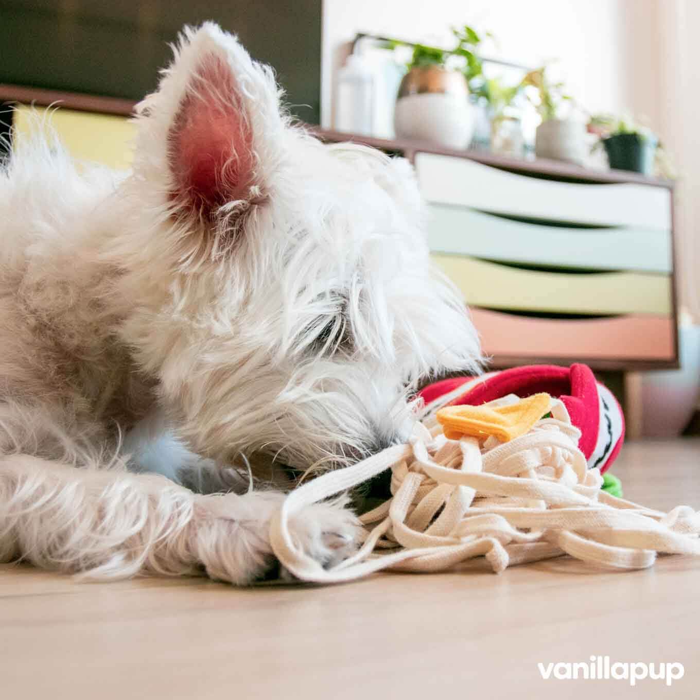 HOWLPOT Ramen Nose Work Toy - Vanillapup Online Pet Store