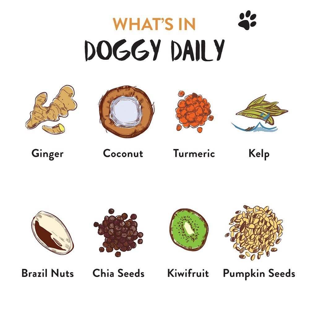 Olive's Kitchen Doggy Daily Supplement | 150g - Vanillapup Online Pet Store