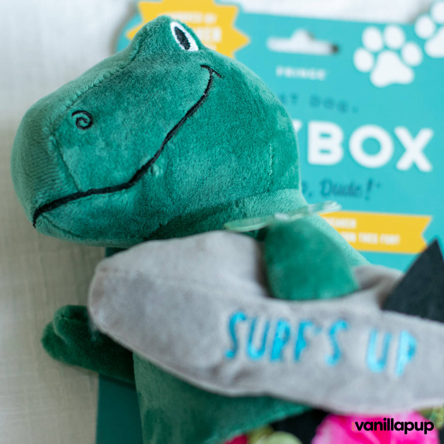 Fringe Studio Surfer Bro Rex