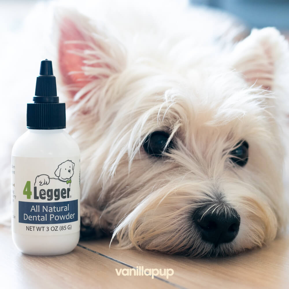 4-Legger Natural Dental Salt - Vanillapup Online Pet Store