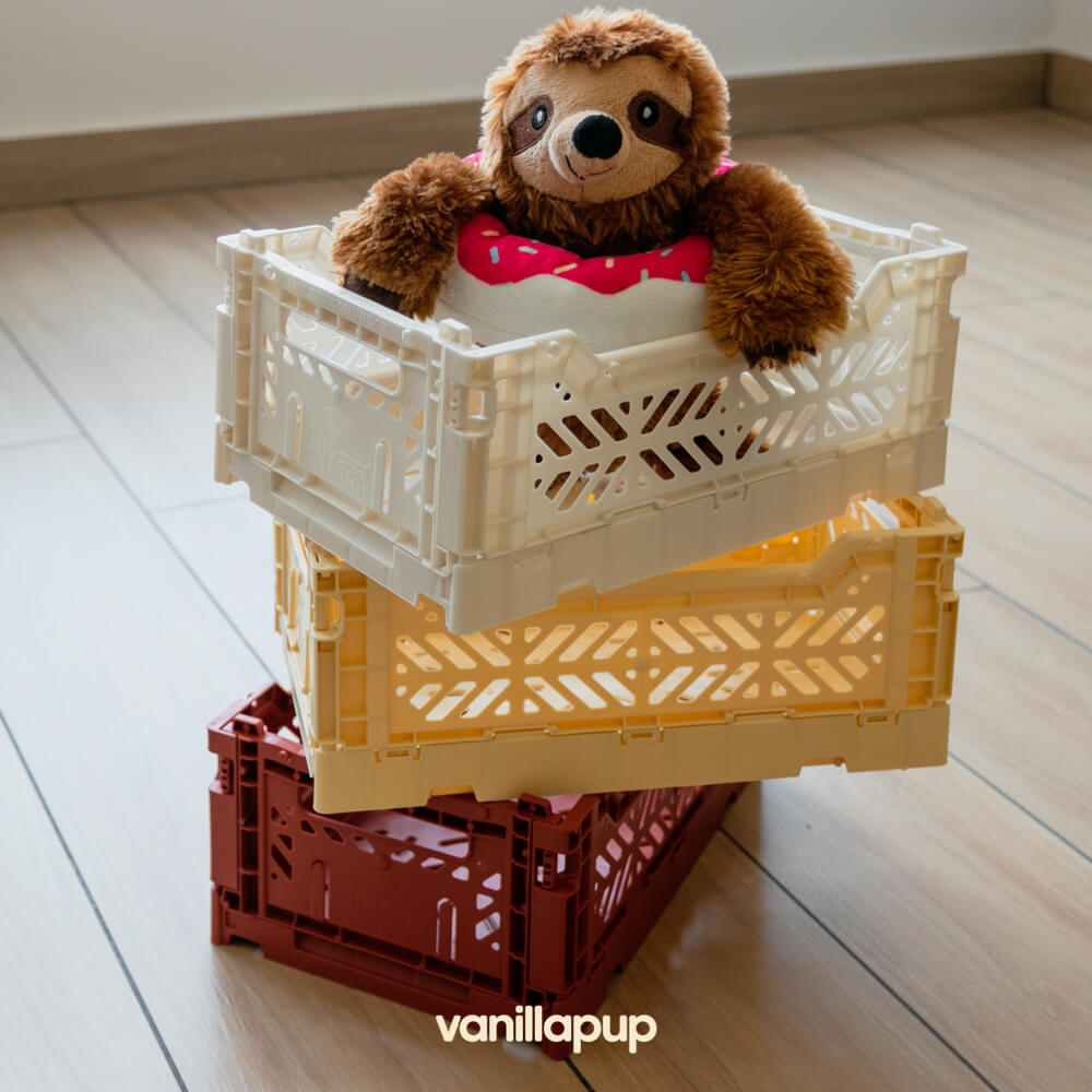 Aykasa Minibox Crate | Banana - Vanillapup Online Pet Store