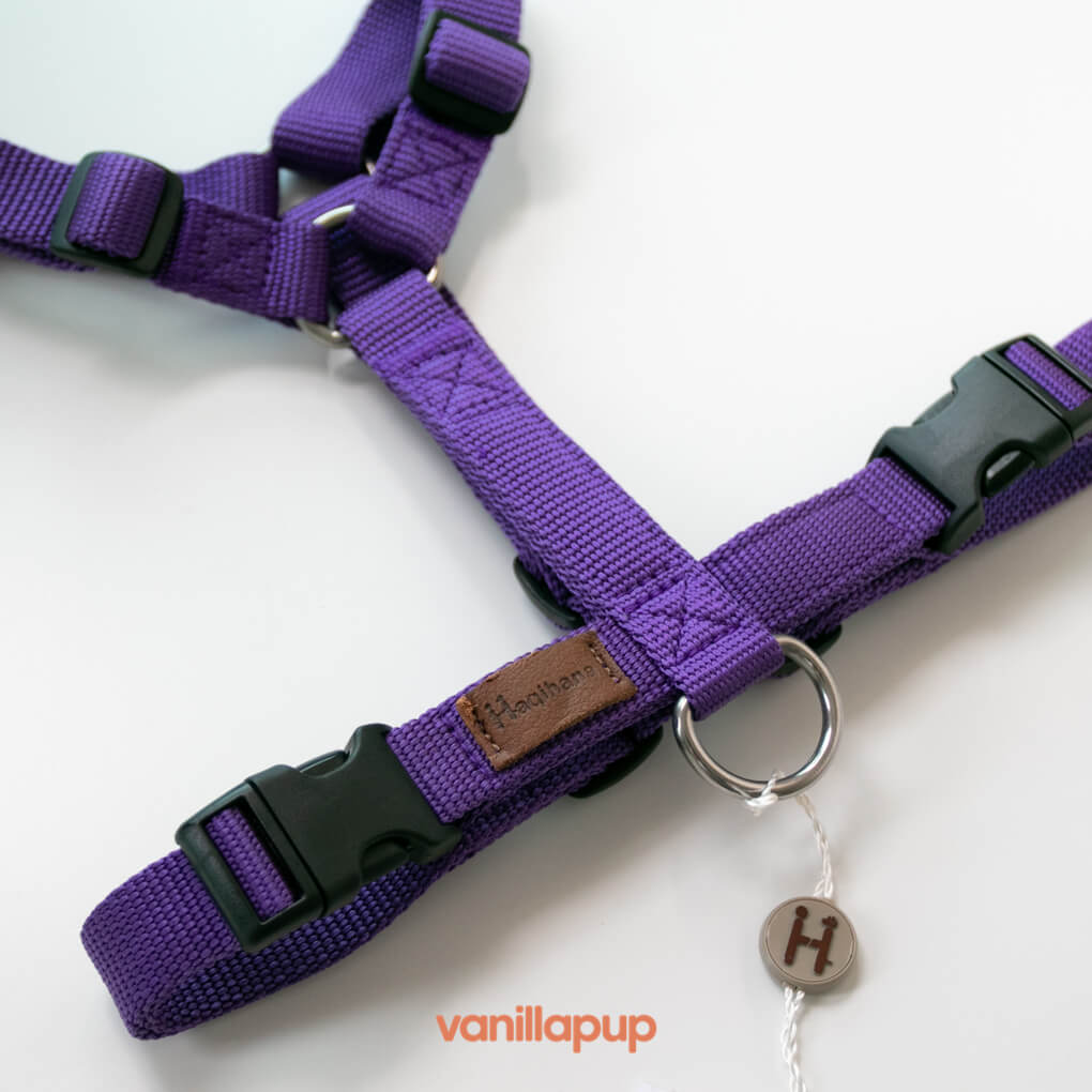 Haqihana Violet Harness - Vanillapup Online Pet Store