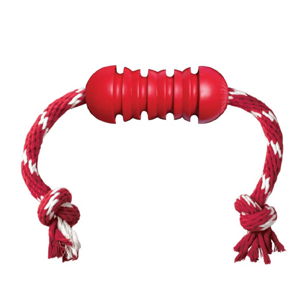 KONG Dental Rubber Toy with Rope - Vanillapup Online Pet Store