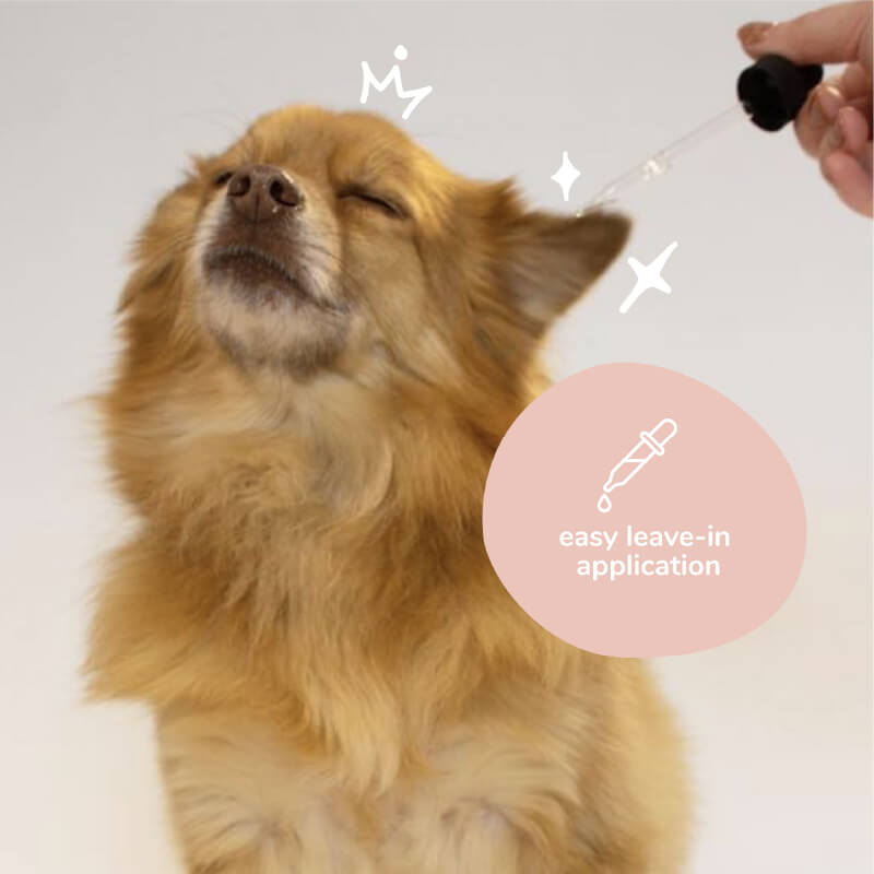 kin+kind Organic Clean Ears Cleanser - Vanillapup Online Pet Store
