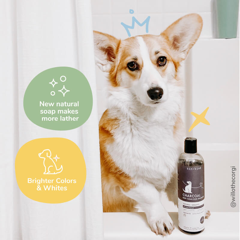 kin+kind Charcoal Deep Clean Shampoo | Almond + Vanilla - Vanillapup Online Pet Store