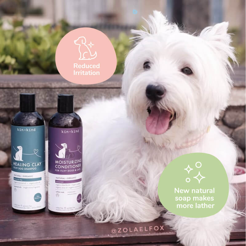 kin+kind Itchy Dog Shampoo | Rosemary + Peppermint - Vanillapup Online Pet Store